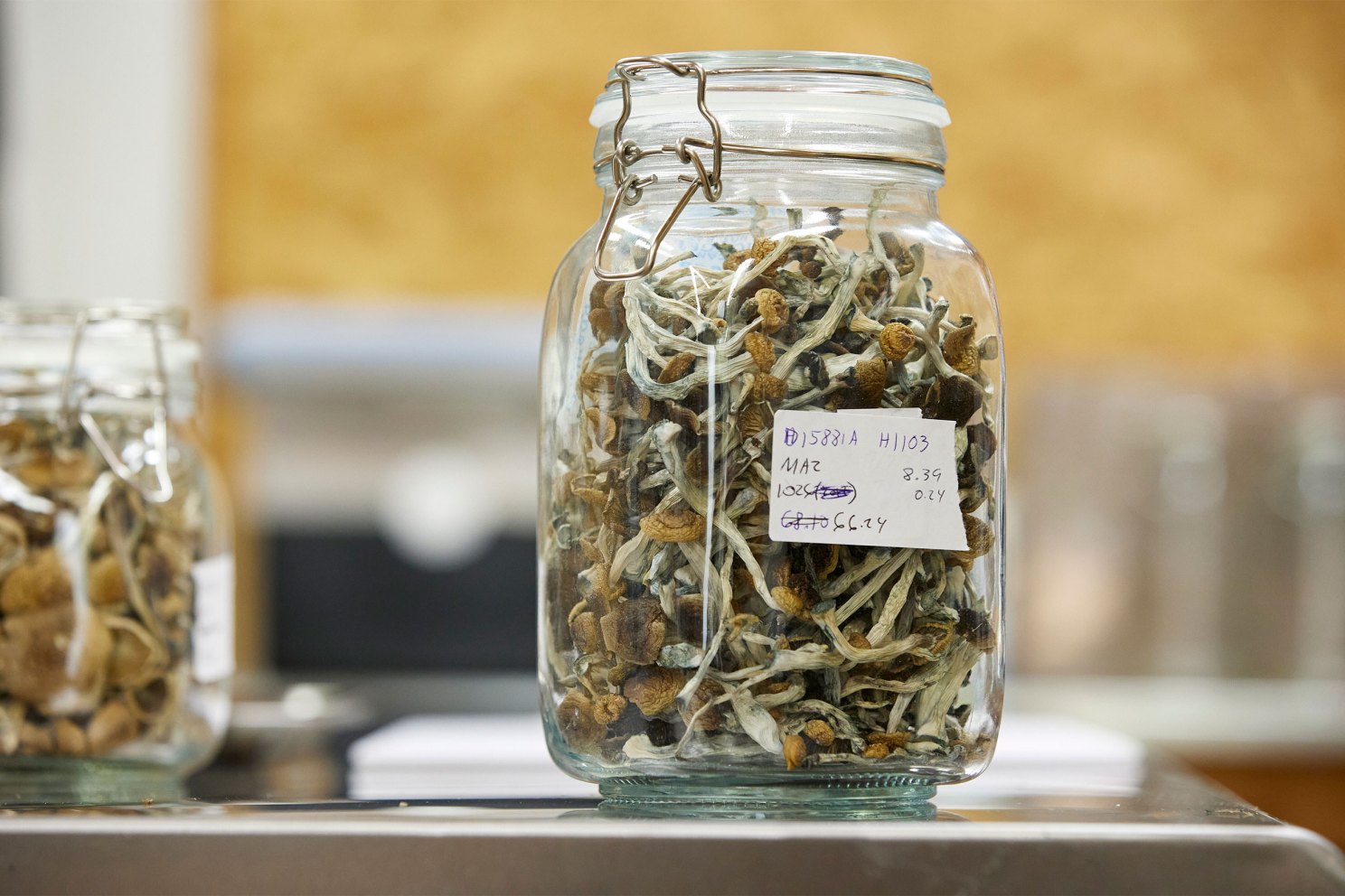 A jar of psilocybin mushrooms from an Oregon lab.