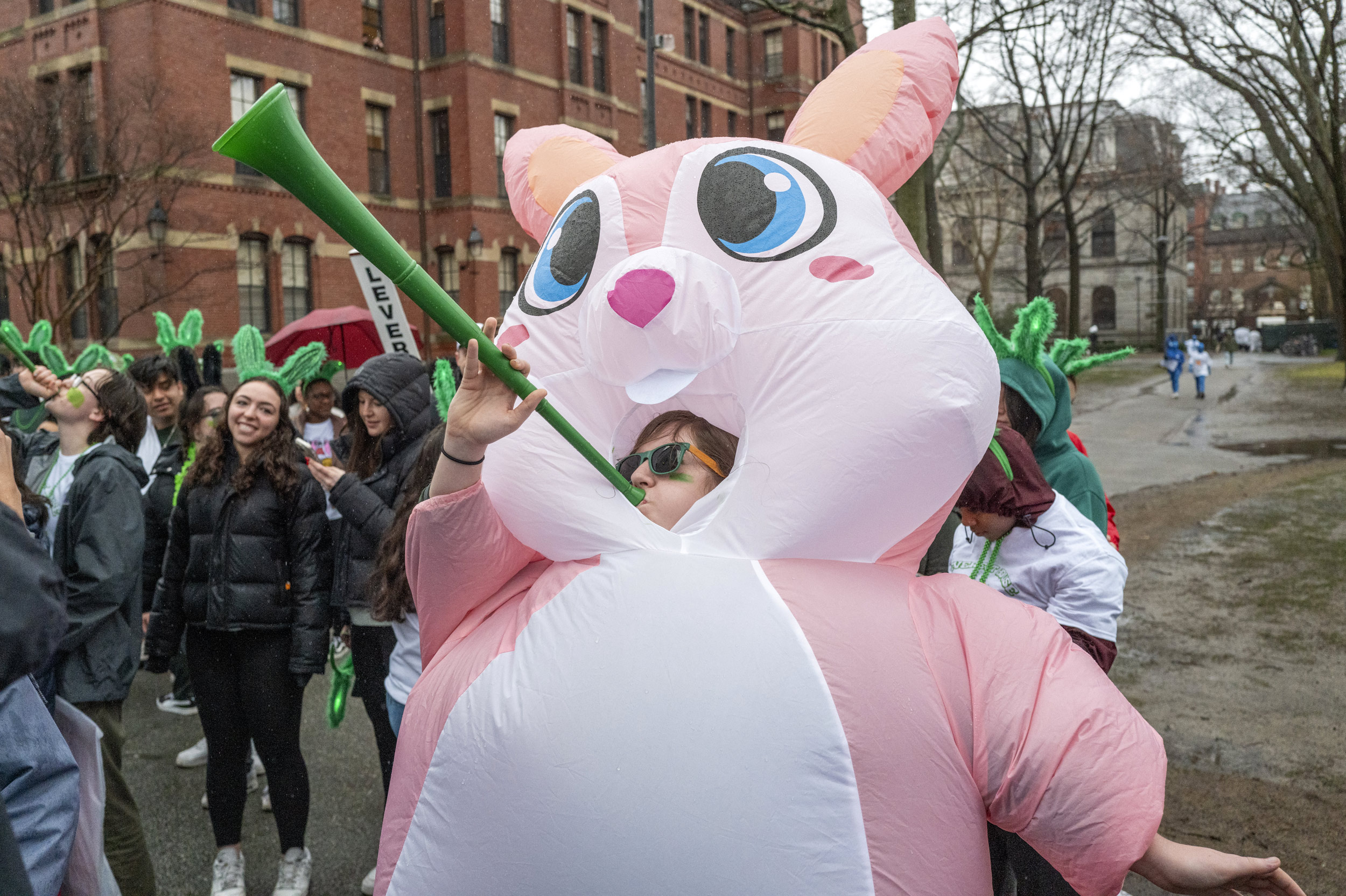 An inflated Leverett House rabbit blows her horn.