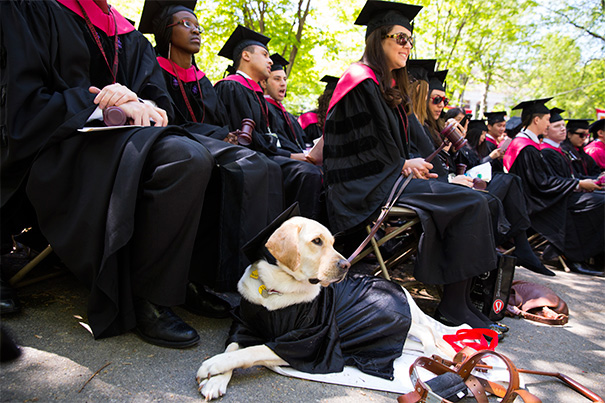 Commencement 2014 Archives — Harvard Gazette