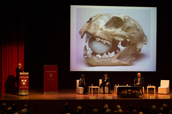 Eduardo Matos Moctezuma discusses discoveries at Templo Mayor in a lecture the National Museum of Anthropology in Mexico City.