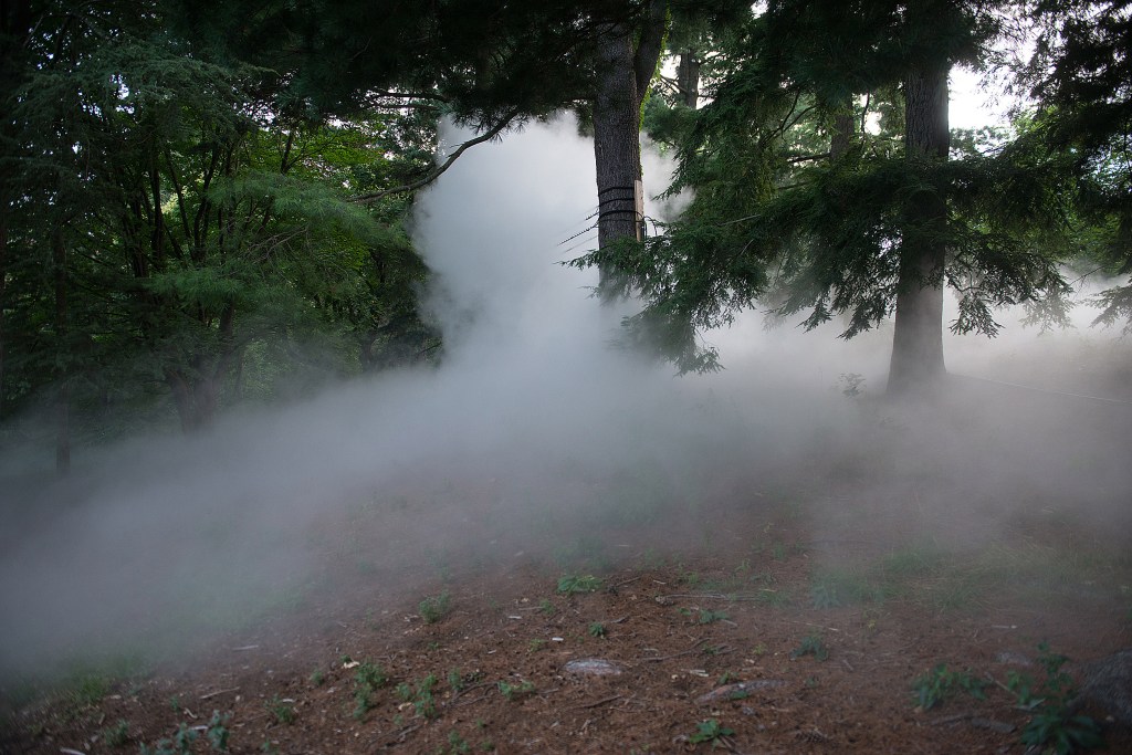 Fujiko Nakaya's Fog x Hill at the Arnold Arboretum.