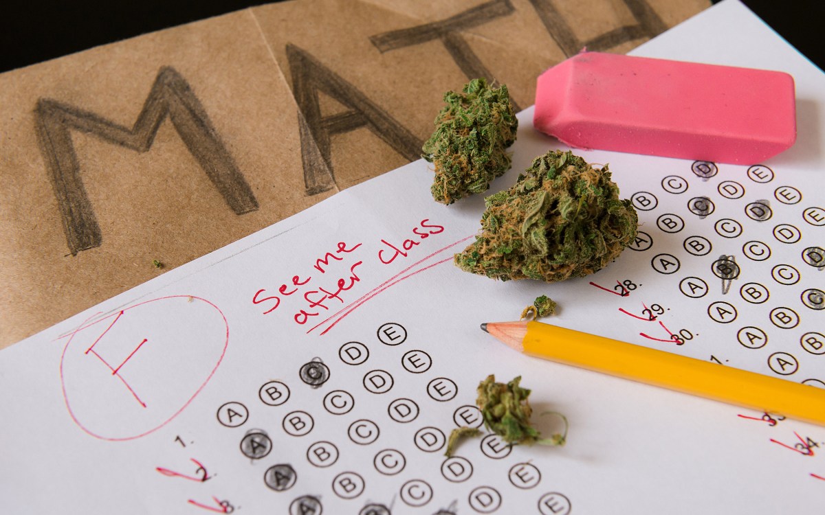 Cannabis on a failed test paper