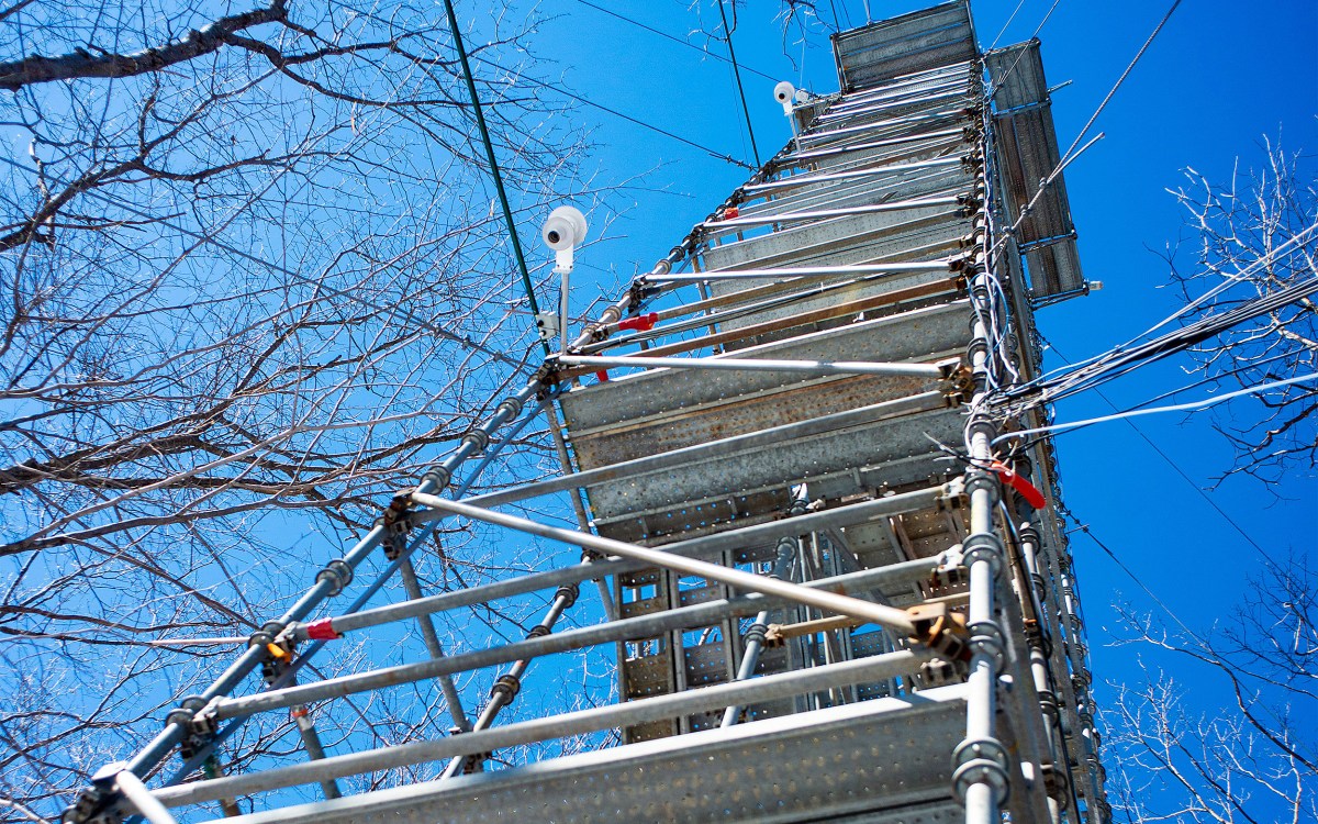 Tower used to study data such as wind patterns at Harvard Forest.