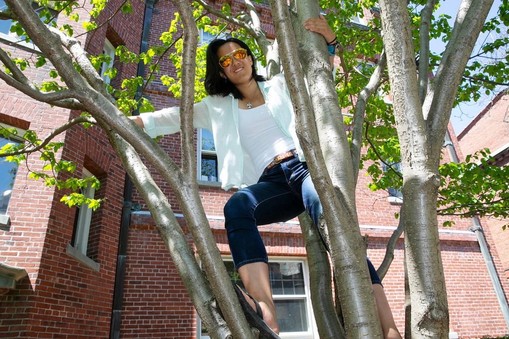 Roux in a tree