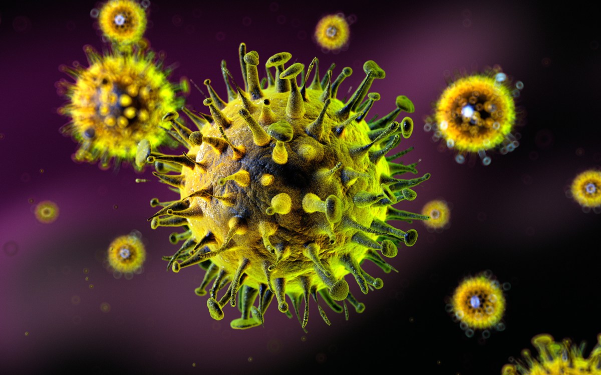 Influenza virus