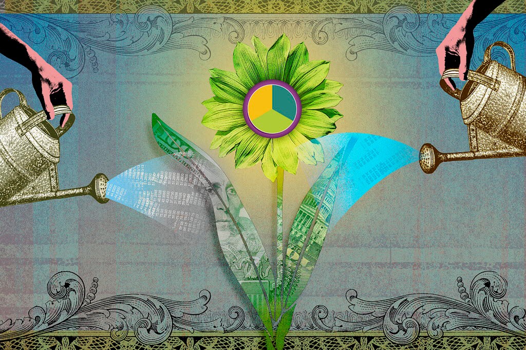 Illustration of financial flower being watered