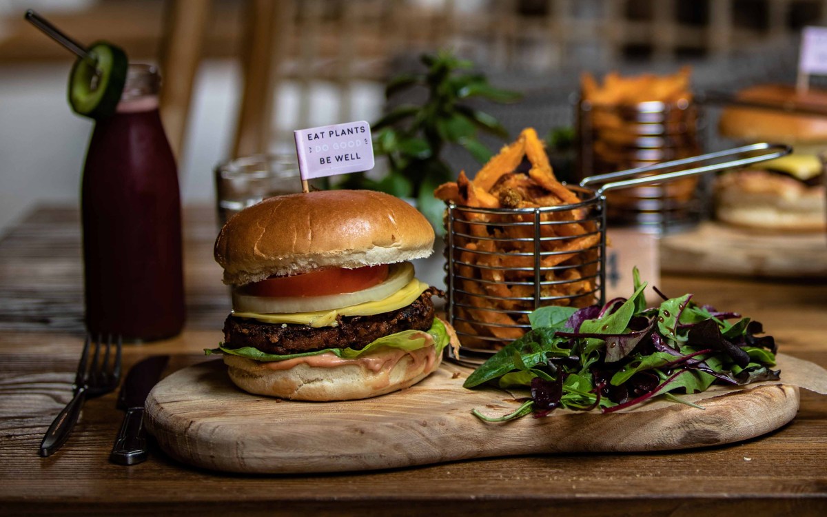 Plant based burger on plate