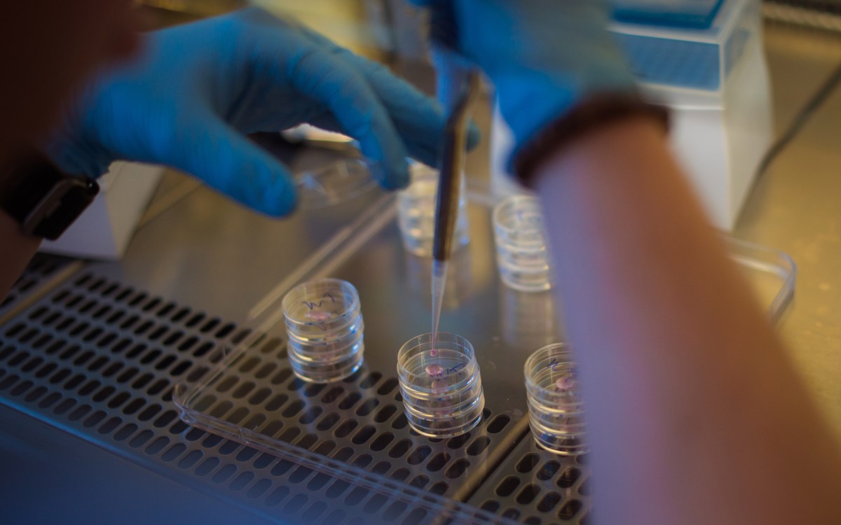 Lab with researcher doing test.