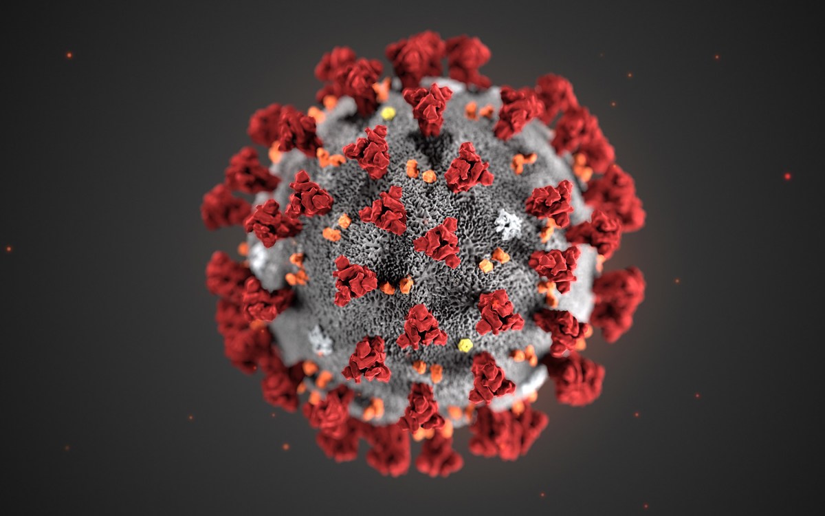 Coronavirus magnified.