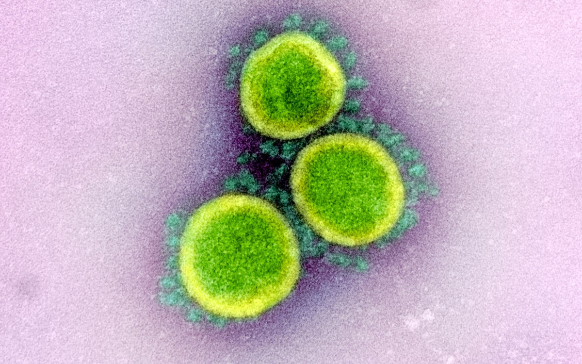 Illustration of Novel Coronavirus SARS-CoV-2