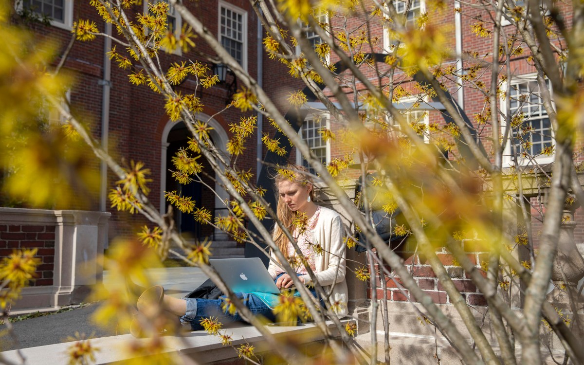 Katherine Miclau ’20 studies in Lowell House courtyard.