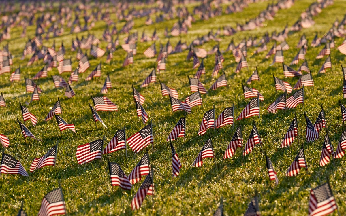 Tiny flags marking those who died from COVID.