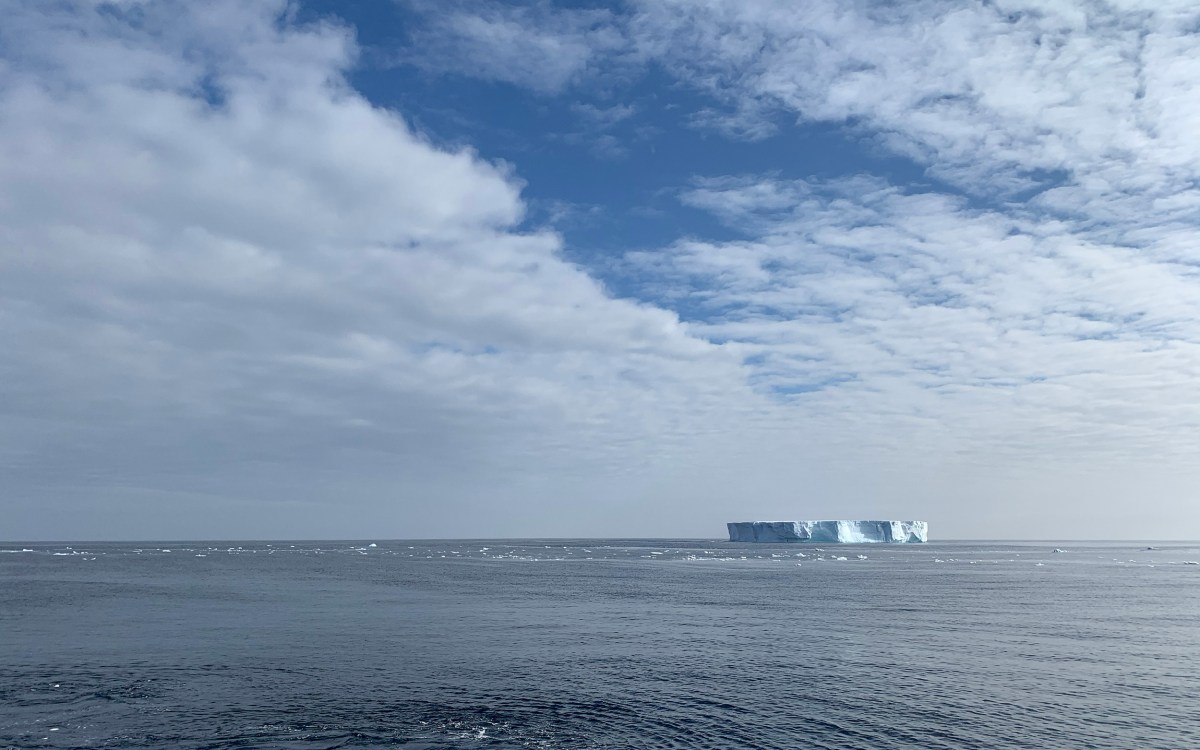 Floating iceberg.