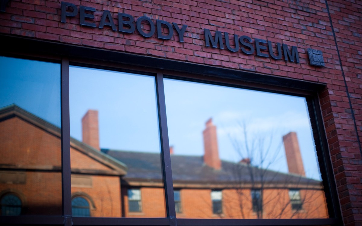 Peabody Museum window.