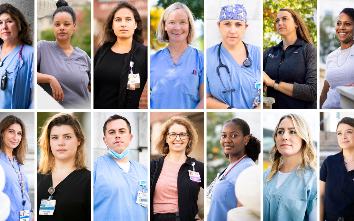 14 nurses from Harvard-affiliated hospitals.