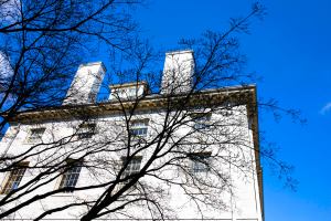 The brilliant exterior of University Hall offsets budding branches.