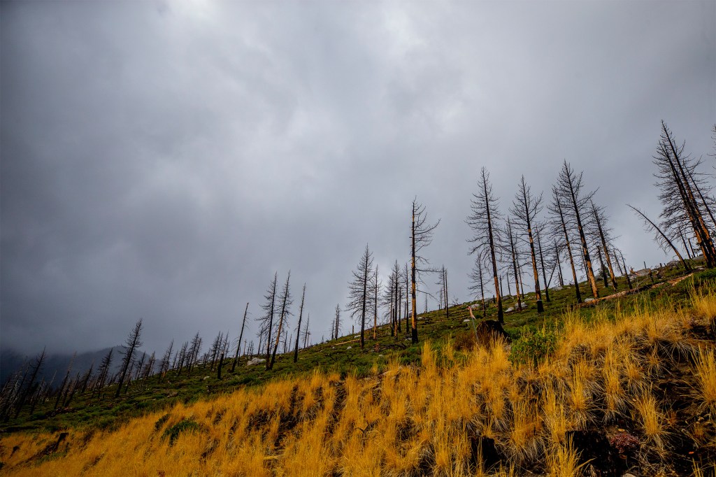 Wildfires in Sierra Nevada.