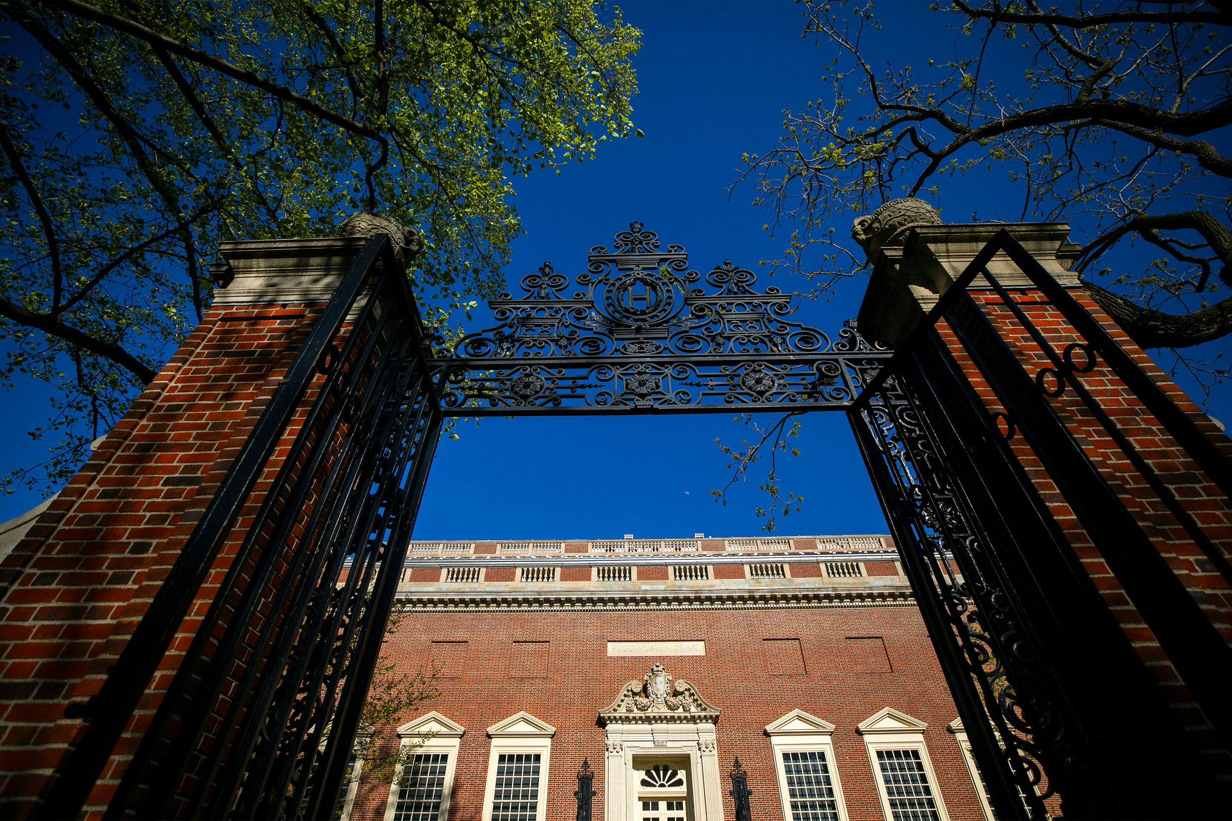 Class of 2026 yield at nearly 84 percent — Harvard Gazette