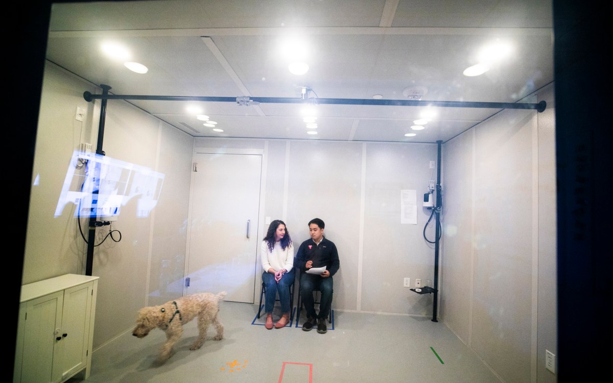 A one-way mirror let students observe a dog's behavior.