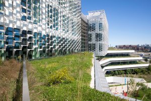 The Science and Engineering Complex