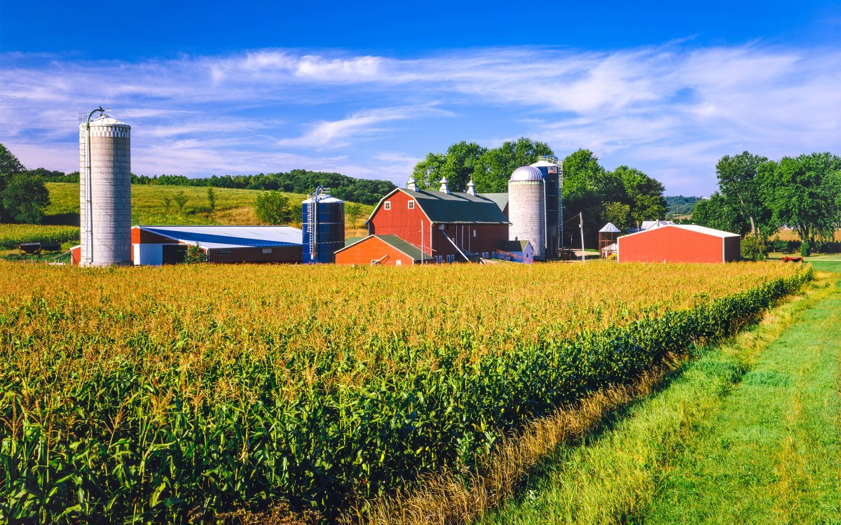 An Iowa farm.