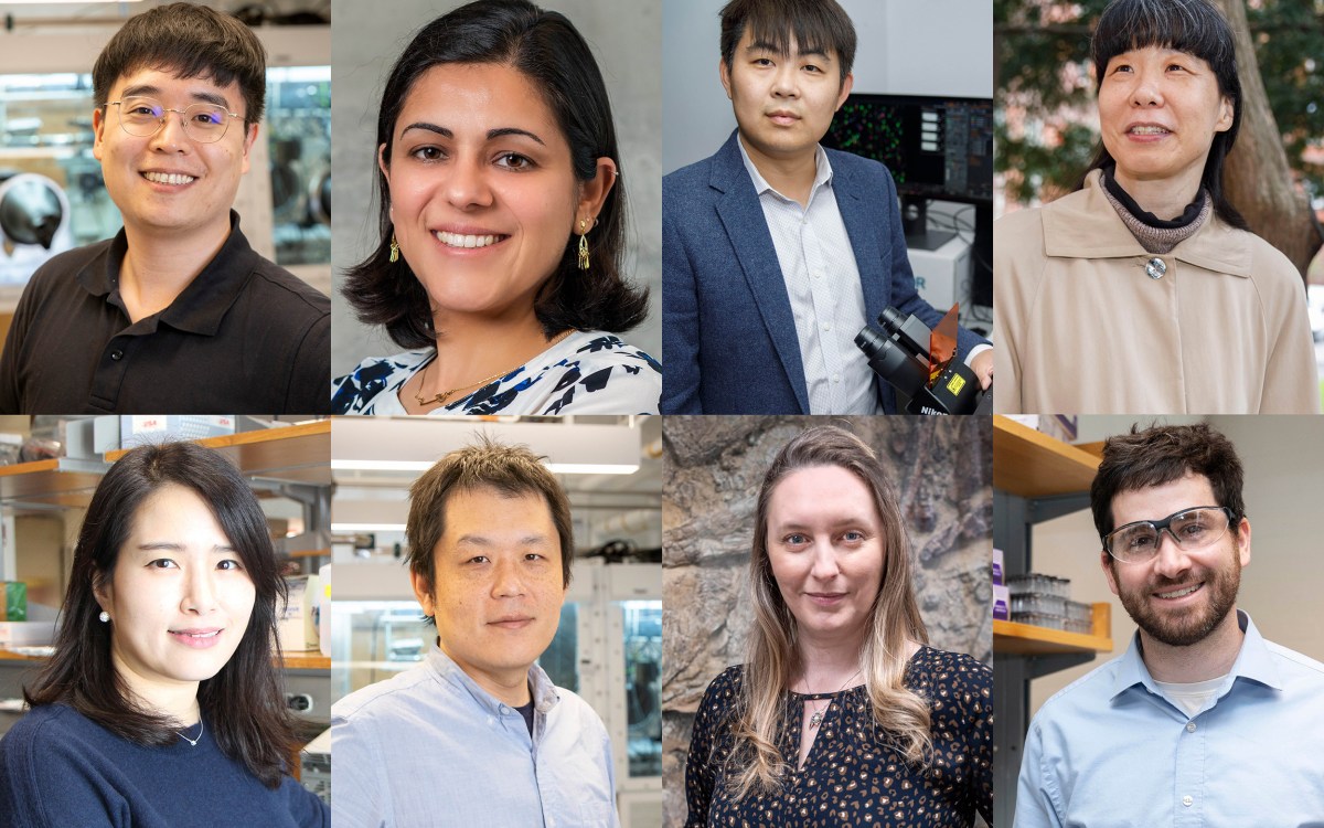 Joonho Lee (top left), Rita Hamad, Fei Chen, Miaki Ishii, Jeeyun Chung, Suyang Xu, Stephanie Pierce, and Jarad Mason.