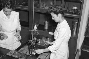 Here workers at a United States Department of Agriculture research lab, ca. 1943, look for mold strains that produce the highest amounts of the antibiotic.