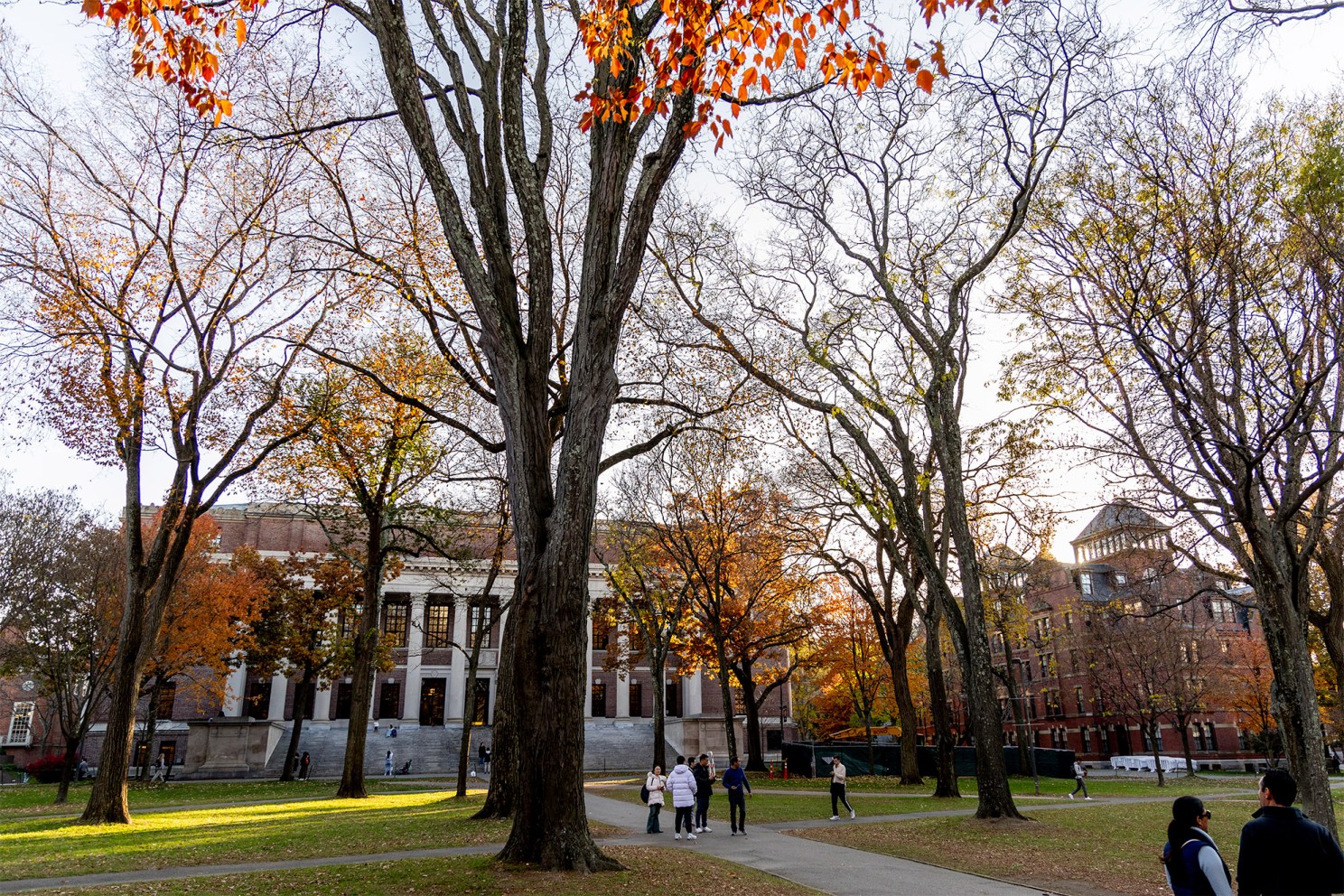 Harvard Yard.