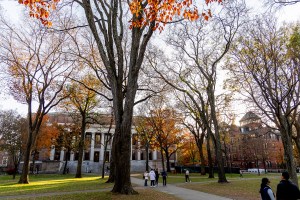 Harvard Yard.