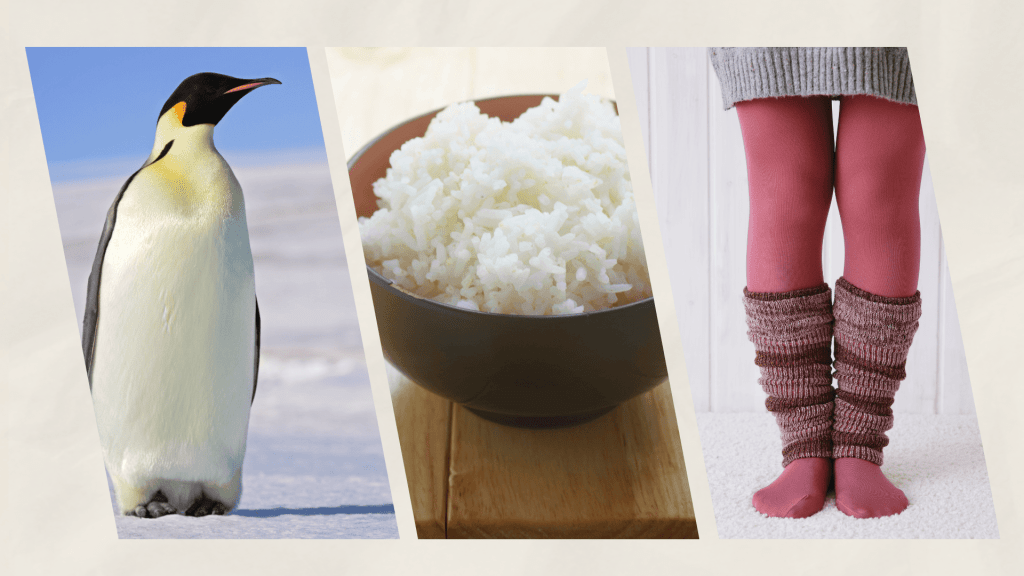 Photo illustration of penguin, bowl of rice, and tights.
