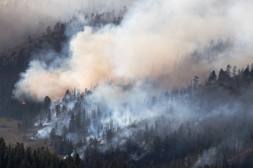 wildfire smoke