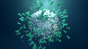 Immune checkpoint inhibitor.