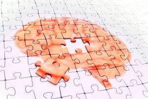 Illustration of brain-shaped puzzle.