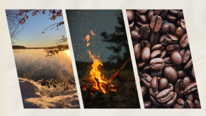 Illustration of nature walk, campfire, and coffee beans.