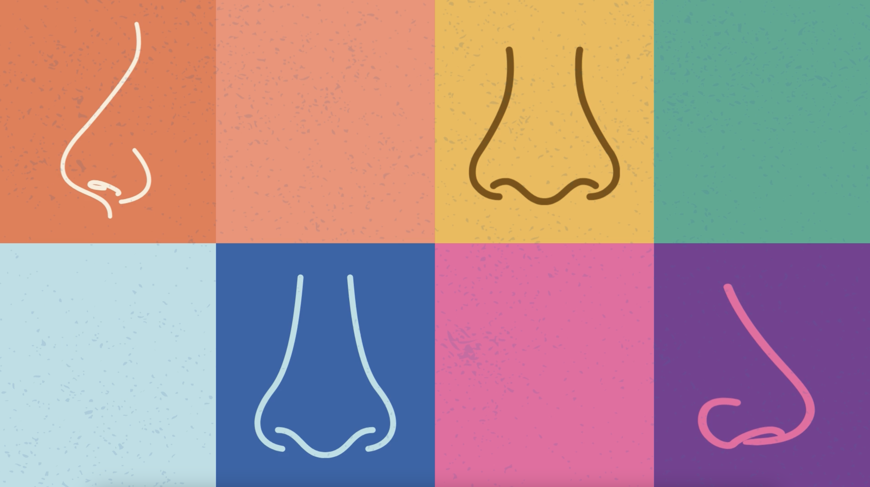 collage of noses