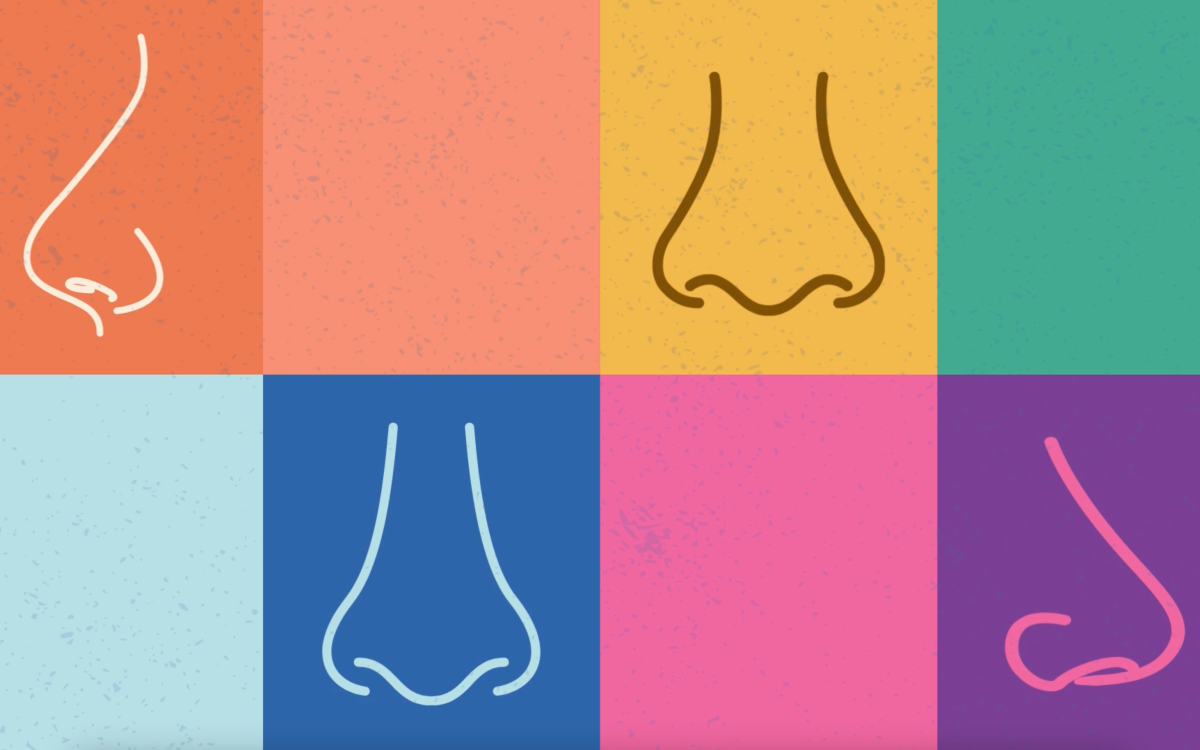 collage of noses