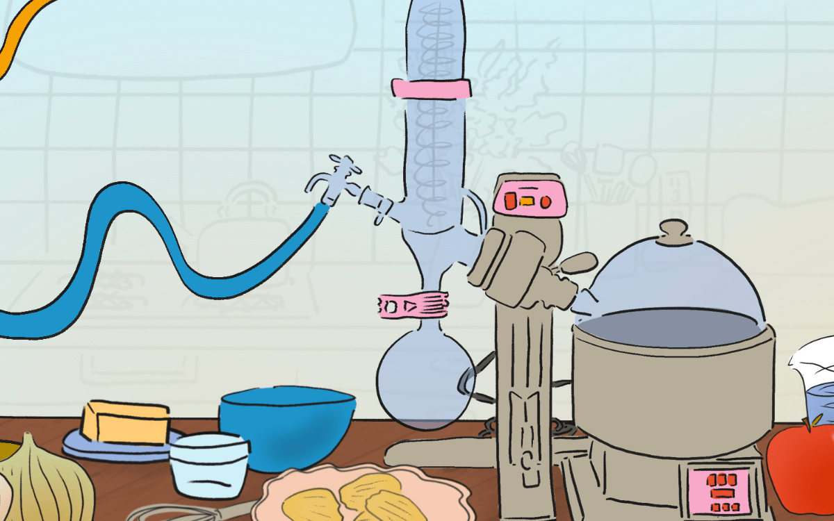 kitchen counter with food ingredients