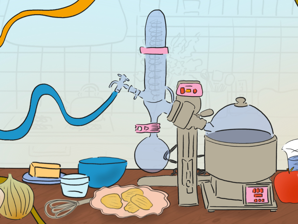 kitchen counter with food ingredients