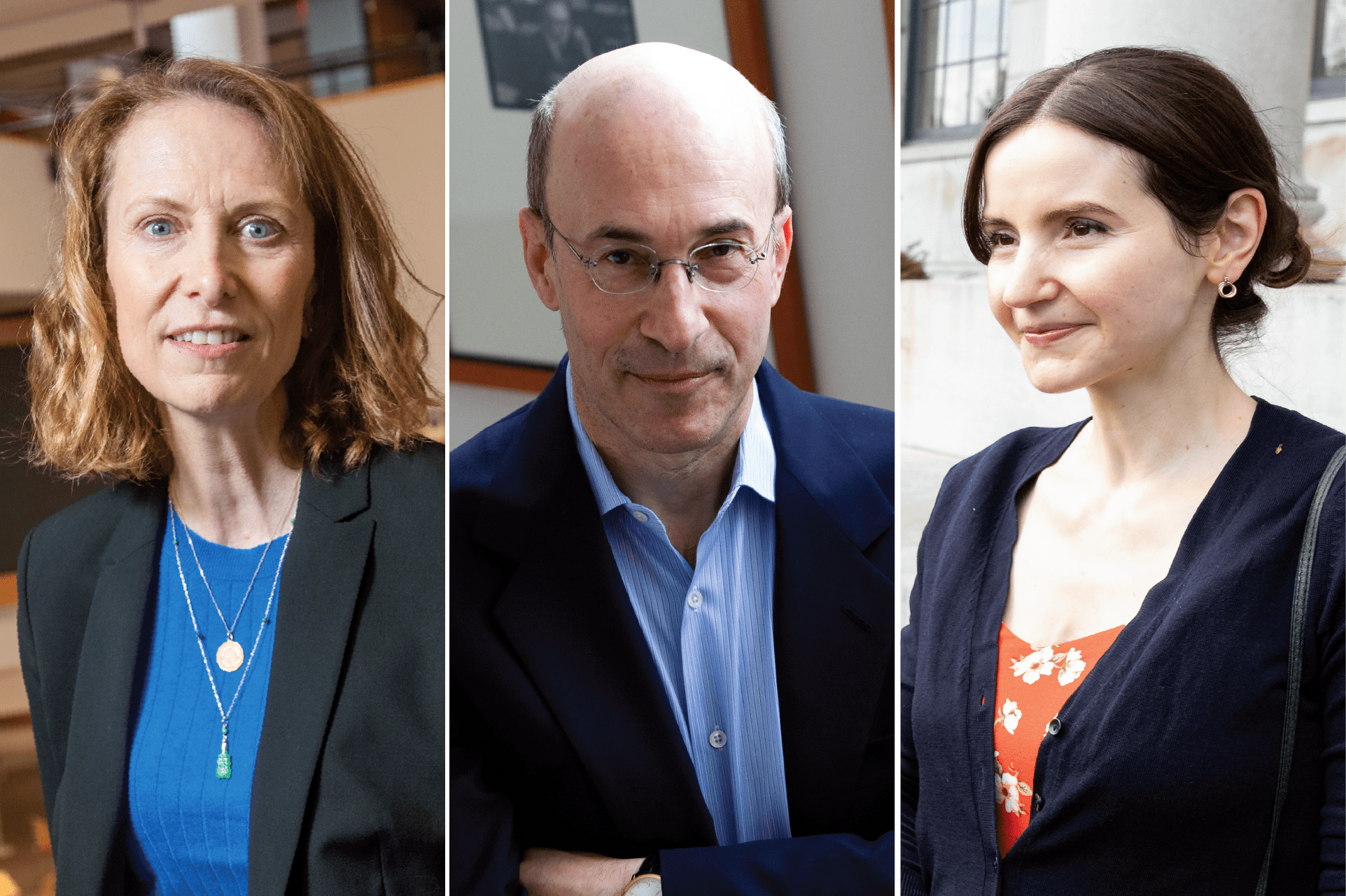 Karen Dynan, Kenneth Rogoff, and Stefanie Stantcheva.