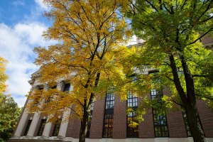 Trees frame The Widener Library in Harvard Yard