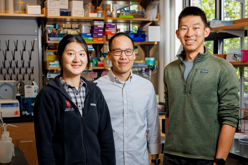 Heejin Roh (left), Brian Liau, and Simon Shen.