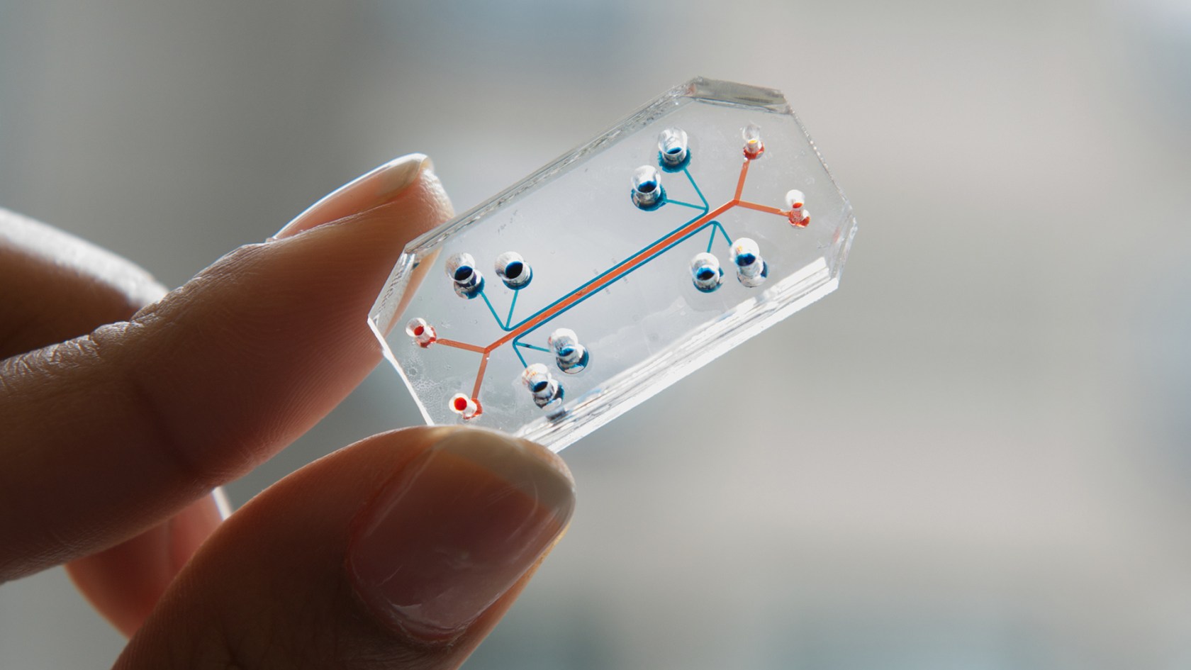 Close-up view of a person's hand holding a transparent, rectangular object. 