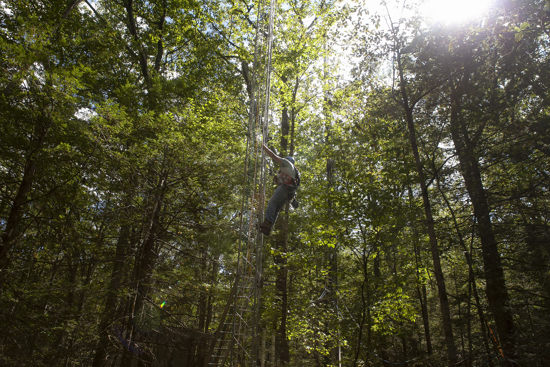 Mark VanScoy climbs the new environmental monitoring tower in Harvard Forest.
