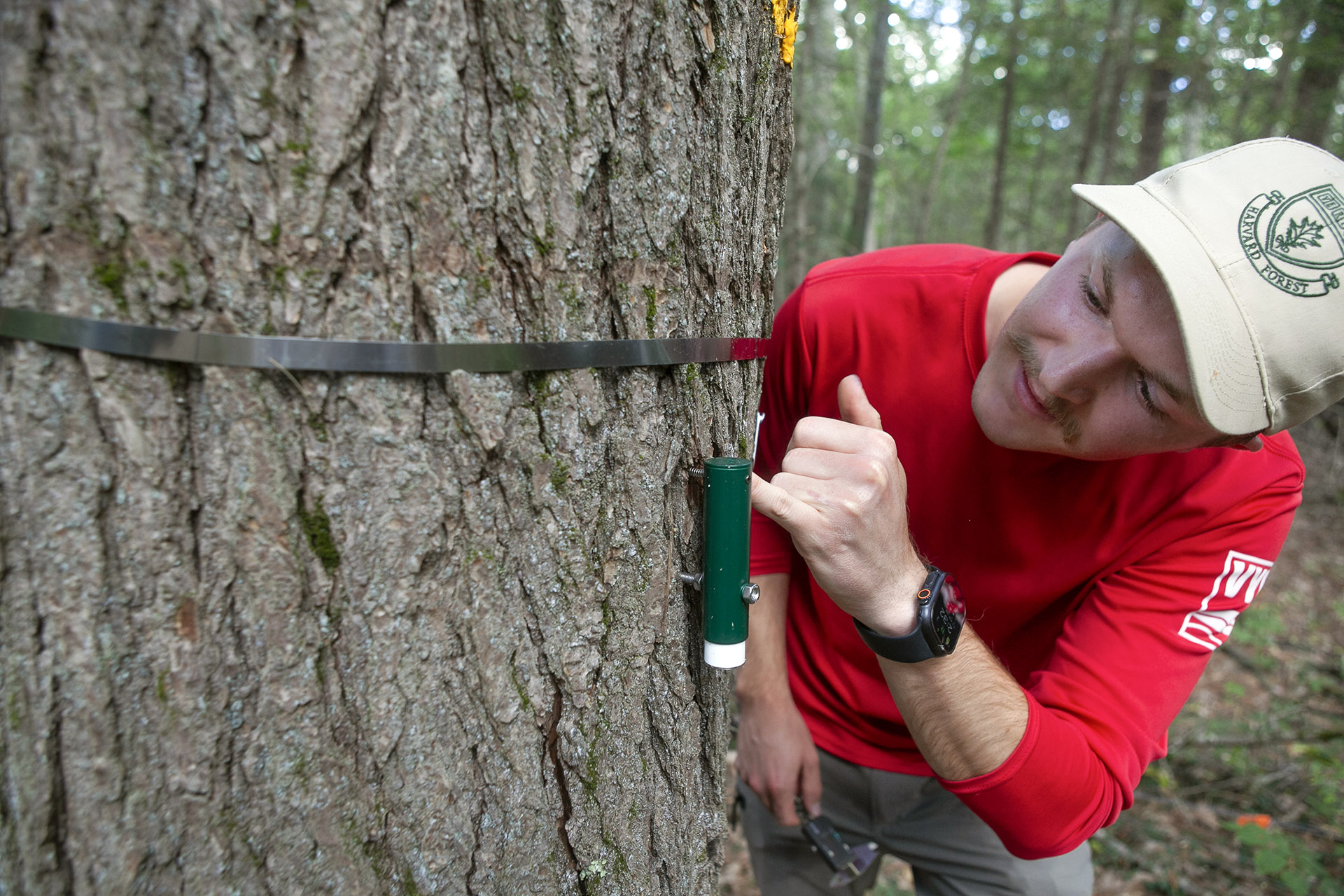 Maxwell Lutz pointing to a tree in Harvard Forest.