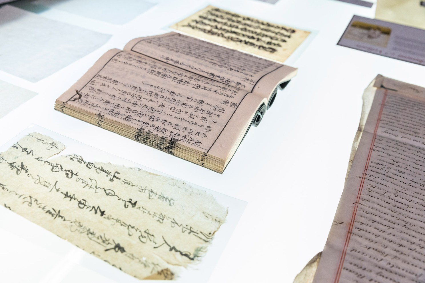 Weissman Preservation Center staff prepared a display of various kinds of paper and parchment.