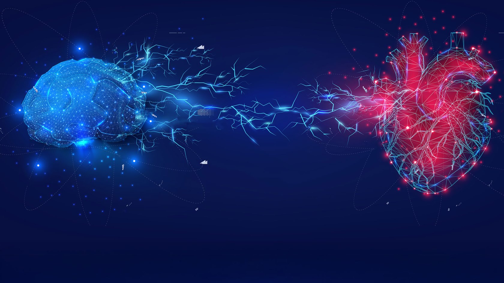 Digital Illustration of Brain and Heart Connectivity.