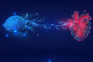 Digital Illustration of Brain and Heart Connectivity.
