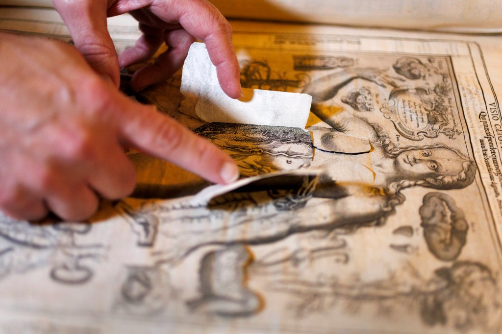 A detail from Johann Remmelin’s “Catoptrum Microcosmicum.”