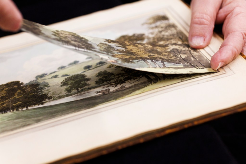 A detail of Repton's landscape proposal for Mosely Hall.