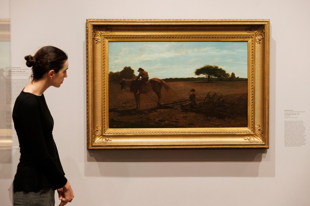 An attendee looking at Winslow Homer’s “The Brush Harrow,” 186